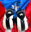Puerto Rico Flags for cars Puerto Rican Boxing Glove Boricua pride PR Style Black flag Autos or Home Sticks to Glass Quick and Easy